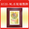 B520-WL水琉璃獎牌
